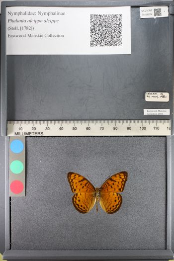 Media type: image;   Entomology 138274